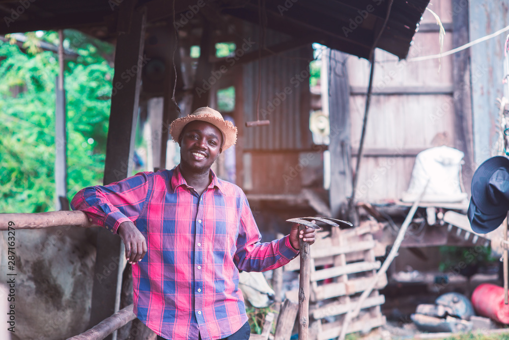 African farmer man is standing at his workplace near cows at the farm African farmer man is standing at his workplace near cows at the farm