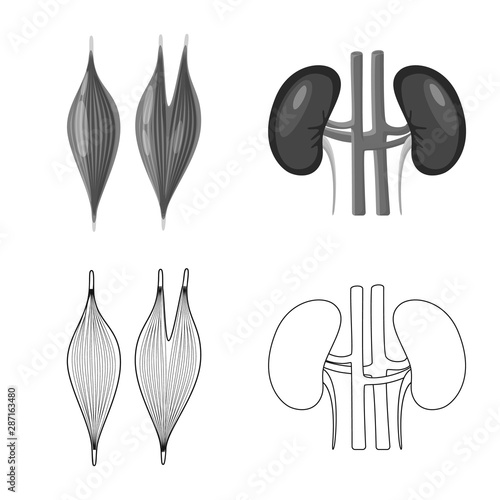 Vector illustration of biology and scientific icon. Set of biology and laboratory vector icon for stock.
