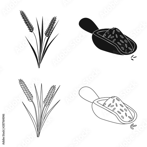 Vector design of crop and ecological icon. Set of crop and cooking stock symbol for web.