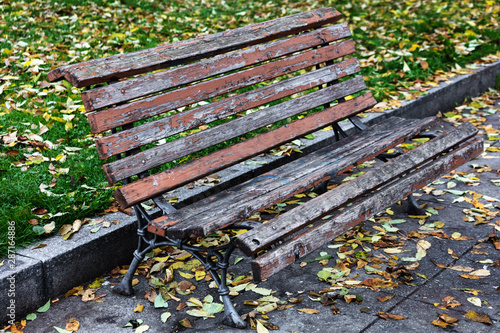 wooden park bench in autumn