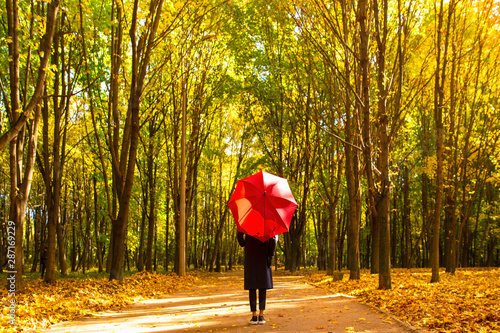 walking in the autumn park photo