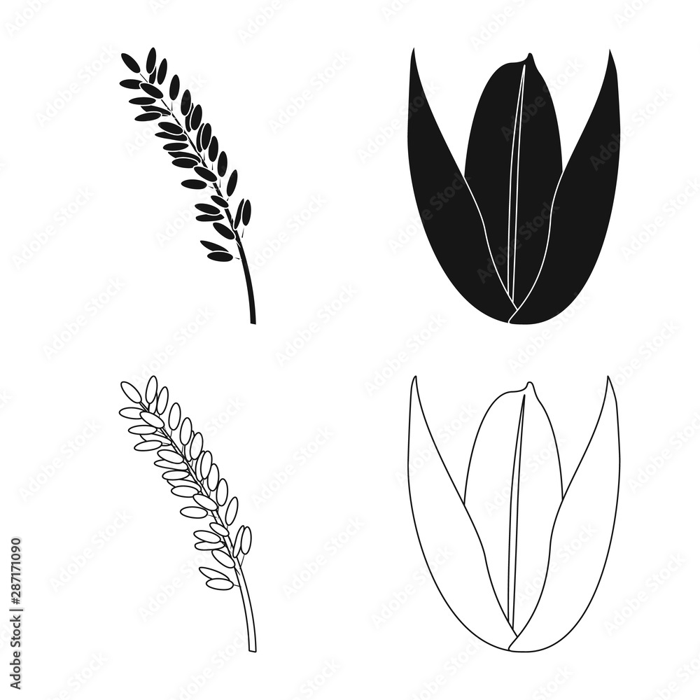 Vector design of crop and ecological sign. Collection of crop and cooking vector icon for stock. Vector design of crop and ecological sign. Collection of crop and cooking vector icon for stock.
