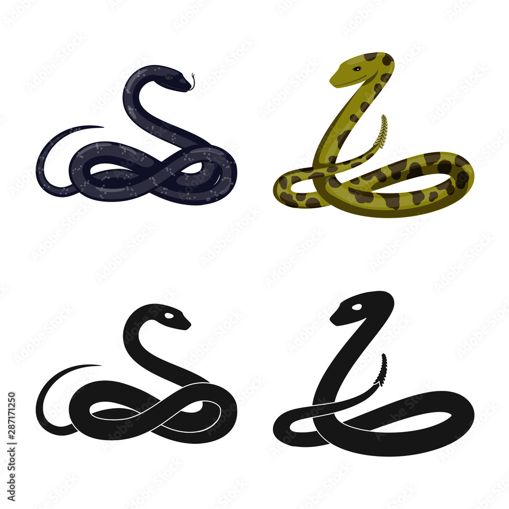 Vector illustration of mammal and danger logo. Set of mammal and medicine vector icon for stock. Vector illustration of mammal and danger logo. Set of mammal and medicine vector icon for stock.