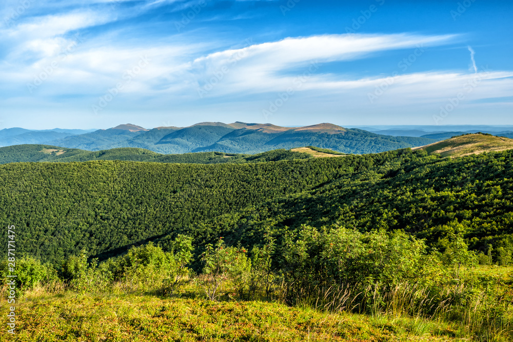 Sunny summer day in the mountains. Photo from Wielka Rawka in the Bieszczady Mountains. Poland.