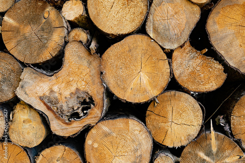 Holz Holzstapel Wood logs