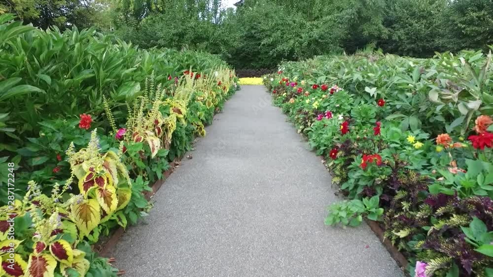Multicolored flowers in a garden in a park. Multicolored flowers in a garden in a park.