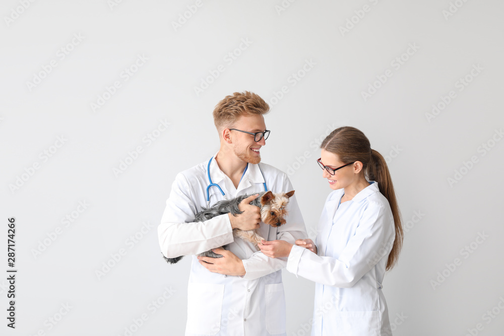 Veterinarians with cute dog on light background - obrazy, fototapety, plakaty 