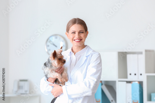 Veterinarian with cute dog ...