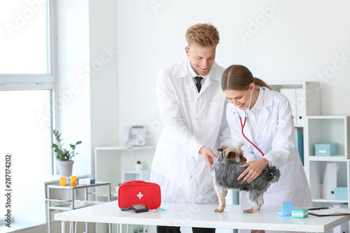 Veterinarians examining cut...