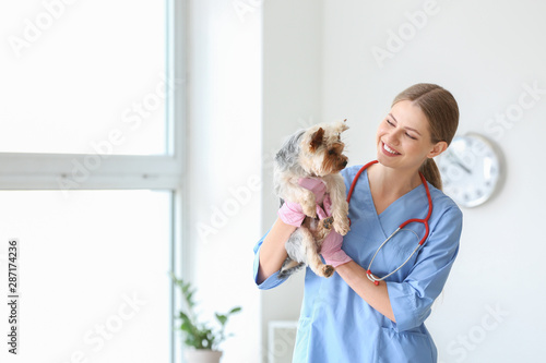 Veterinarian with cute dog ...