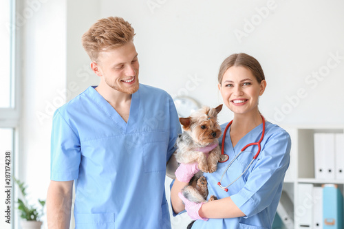Veterinarians with cute dog...