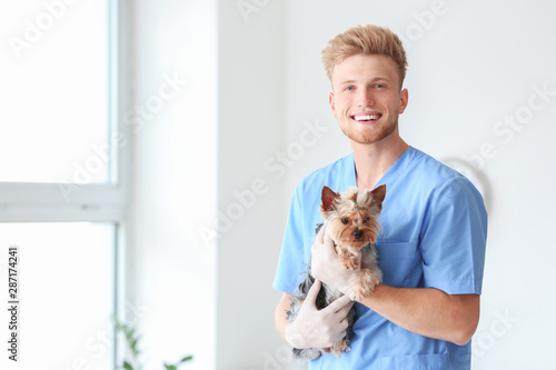 Veterinarian with cute dog ...
