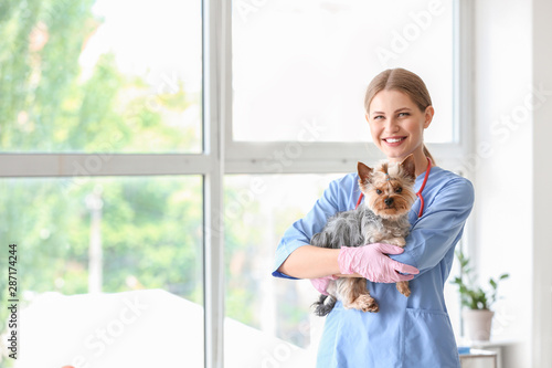 Veterinarian with cute dog ...