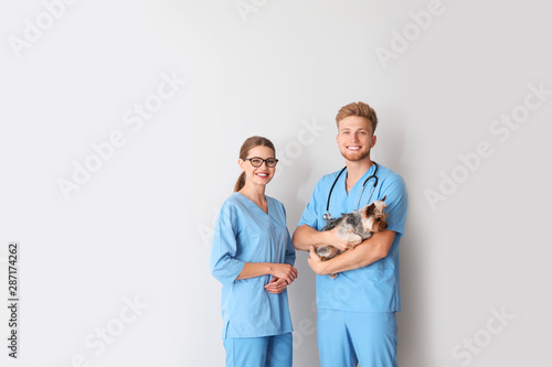 Veterinarians with cute dog...