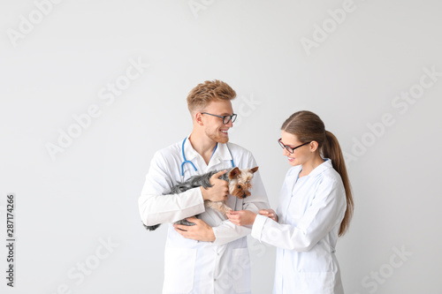 Veterinarians with cute dog...