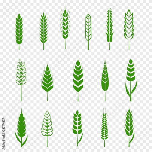 Set of simple green wheats ears icons and wheat design elements for beer, organic or local farm fresh food, bakery themed wheat design, grain, beer elements, rye simple. Vector illustration eps10
