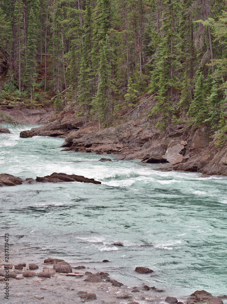 Fototapeta premium Kicking Horse River is a glacial river in the Canadian Rockies, Yoho National Park, British Columbia, Canada