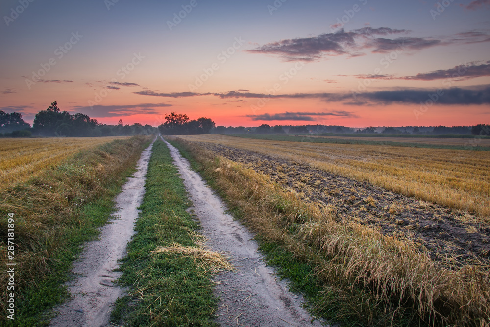 Country road through stubble field, horizon and colorful sky