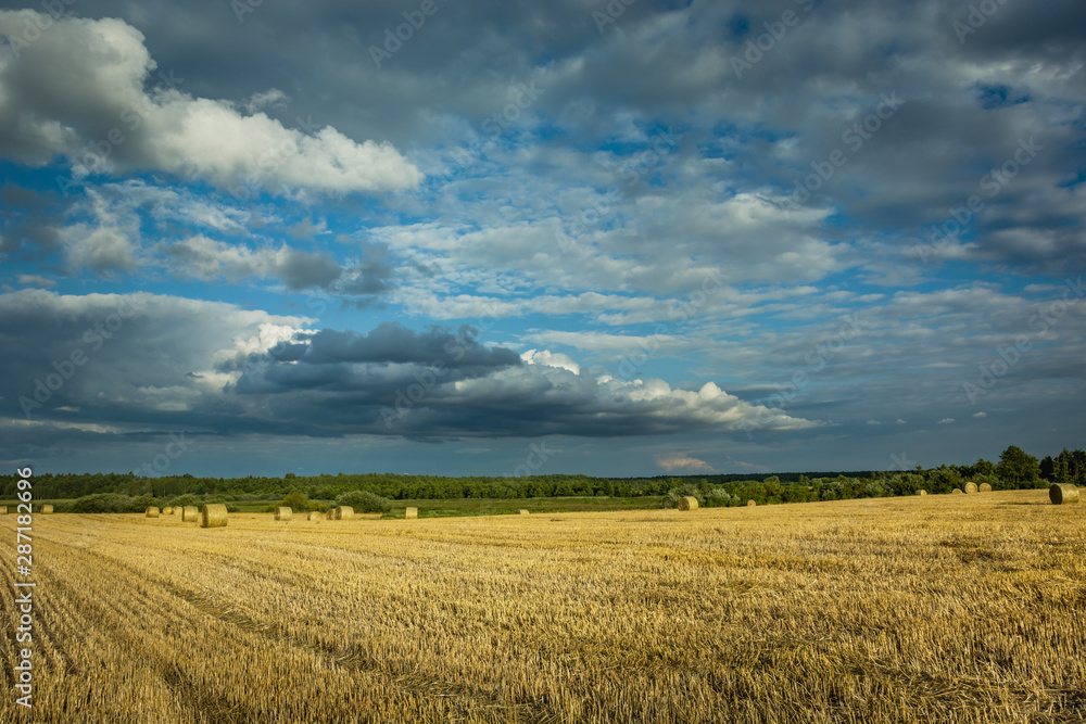 Bales of hay on stubble, horizon and gray clouds on a sky