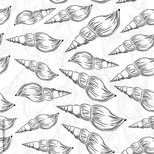 Turrid, plural turrids, predatory sea snails, marine gastropod mollusks in the family Turridae. Sketch black contour isolated on white background. Can be used for fabrics, wallpapers. Vector