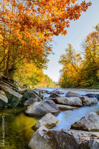 Fototapeta Naklejka Na Ścianę i Meble -  Herbstbild - Herbst am Wasser mit farbigen Bäumen im Wald