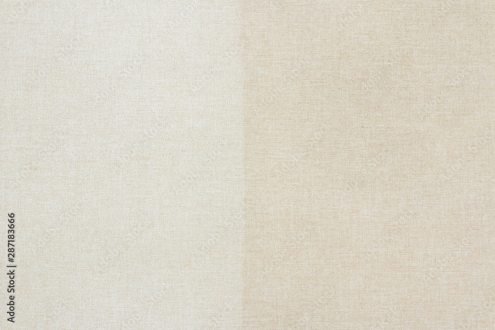 Fototapeta premium sofa upholstery after cleaning with a steam vacuum cleaner