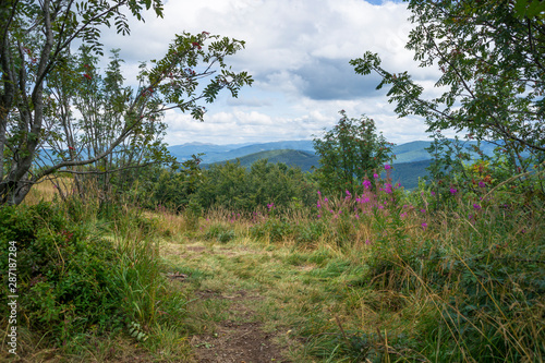 Fototapeta Naklejka Na Ścianę i Meble -  Na szczycie Jasła, Bieszczady