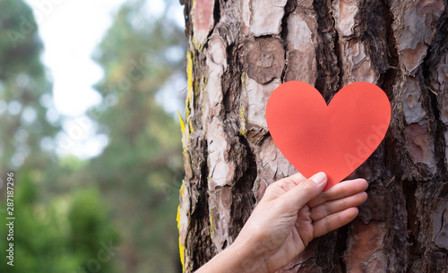 Adult woman hand in the woods puts a heart shape on the trunk to tell us that every tree has a heart. Earth day concept. Together save the planet from deforestation