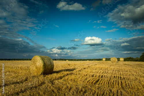 Bales of hay on stubble, clouds on a blue sky