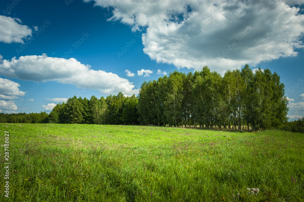 Green field, trees and white clouds on a sky Green field, trees and white clouds on a sky
