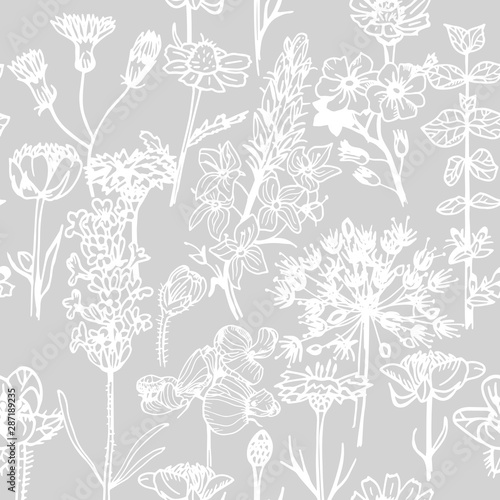 seamless floral pattern with wild flower © Mykyta