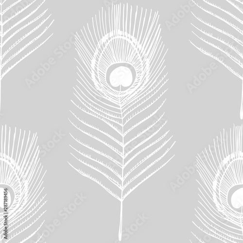 peacock feather seamless pattern hand drawn sketch