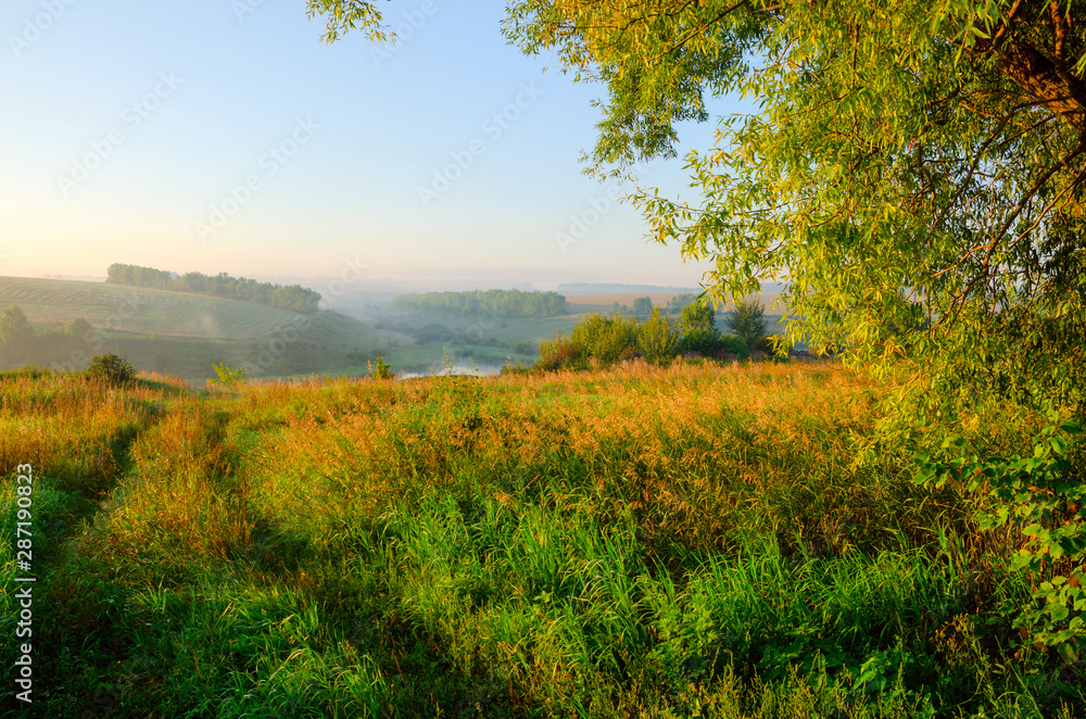 Summer landscape with trees