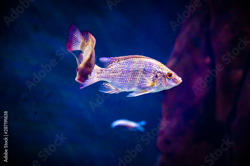 ZOO Wroclaw Africarium