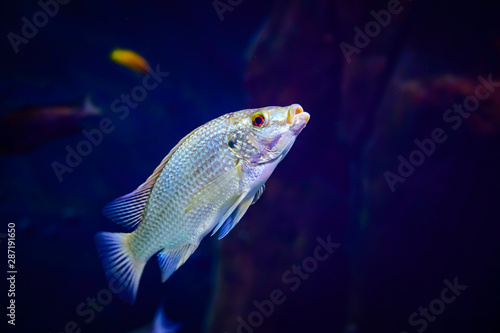 ZOO Wroclaw Africarium