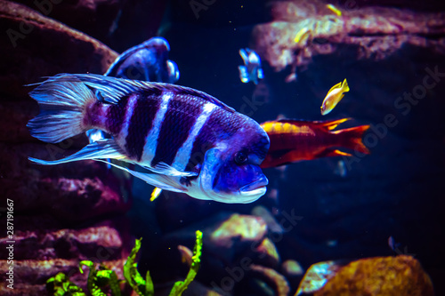 ZOO Wroclaw Africarium