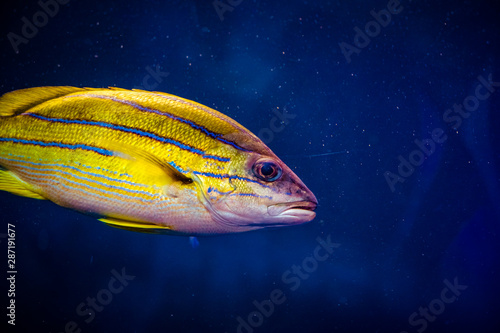 ZOO Wroclaw Africarium