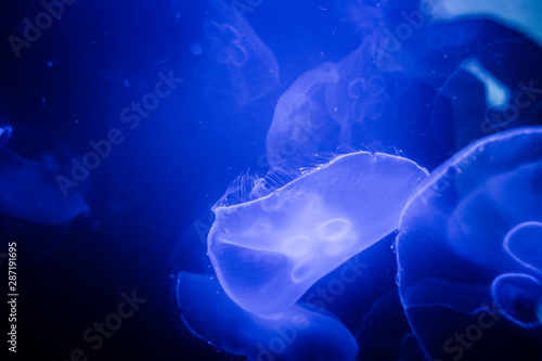 ZOO Wroclaw Africarium