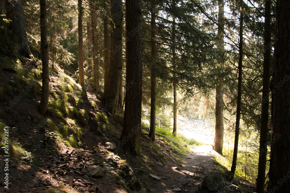 Fototapeta premium Valle d'aosta