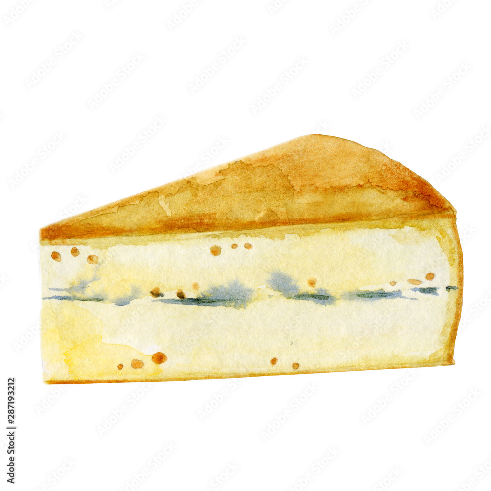 Watercolor piece of cheese with blue mold