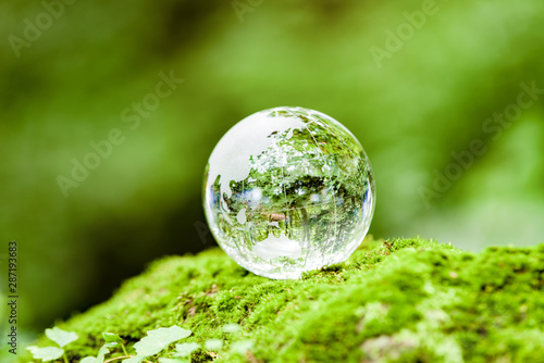 苔とガラスの地球儀
