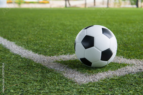 A ball on the corner line of soccer field. © Nara