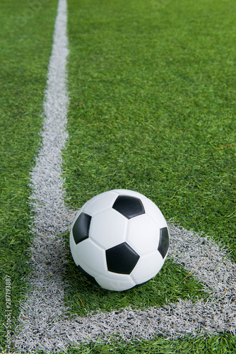 A ball on the corner line of soccer field. © Nara