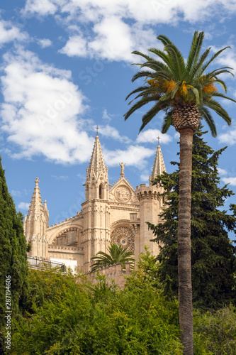 Cathedral of Santa Maria, also La Seu. Palm Cathedral is one of the main attractions of the Balearic Islands. A beautiful building of Gothic culture.