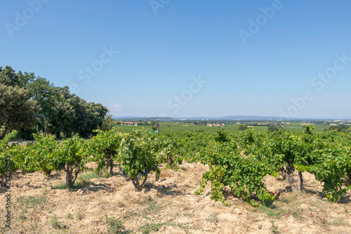 Dentelles de Montmirail chain of mountains and vineyards in wine region Provence in Vaucluse, France