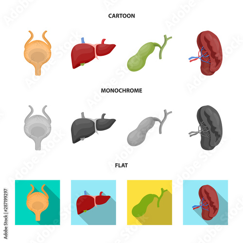 Vector design of body and human logo. Set of body and medical vector icon for stock.