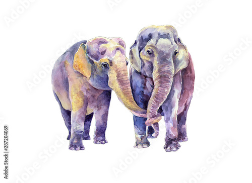 A pair of Indian elephants. Watercolor image.