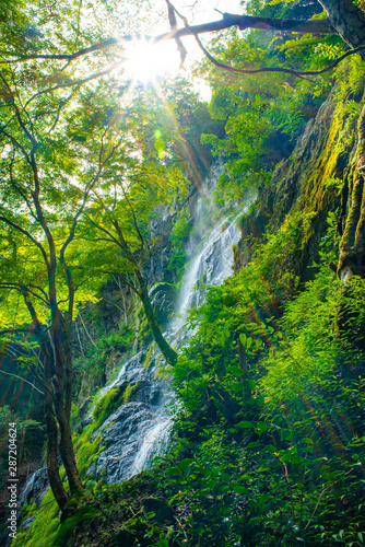 兵庫県・緑深い峡谷の陽光に映える足尾の滝 © Ken-Jiraud Jp