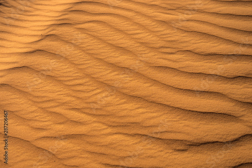 sands of the desert