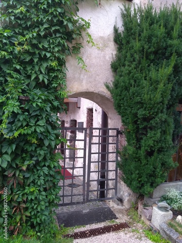 old door in the garden